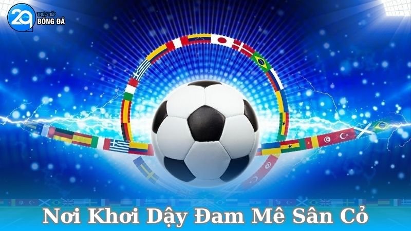 noi-khoi-day-dam-me-san-co